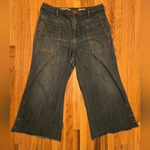 Pilcro and the Letterpress Anthropologie Wide Leg Jeans 32 Snap Leg Raw Cropped